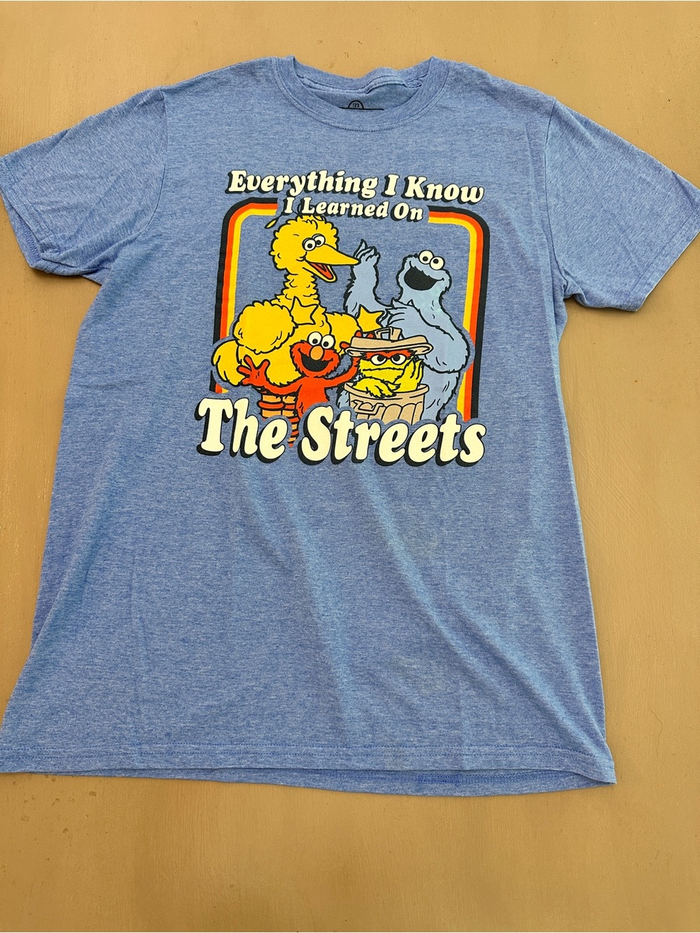 Sesame Street Graphic Tee in Heather Blue Men Medium
